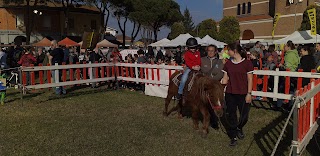 Bar Centrale Di Voltana