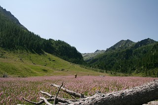 Vallon de l'Alleigne