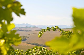 Assirelli Vini "Cantina da Vittorio"