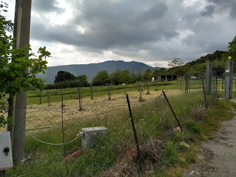 Agriturismo Le Vigne