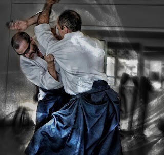 Izumi Dojo Aikido