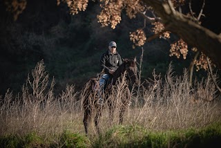 Sentieri Equestri