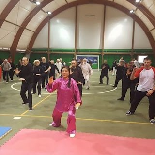 Taiji Quan-TaiChi-Qigong-M°Zhang ChunLi