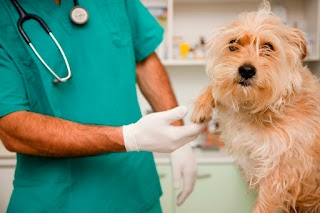 Ambulatorio Veterinario Santa Toscana