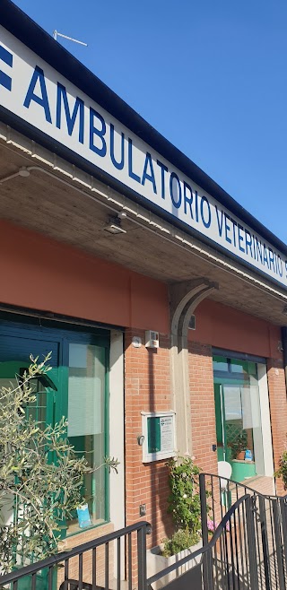 Ambulatorio Veterinario