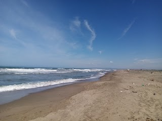 Spiaggia naturista di Fiumicino