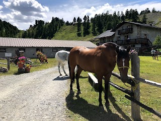 Fattoria Lago Nero Vendita Formaggi