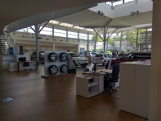 AutoCommerciale Spa - Service