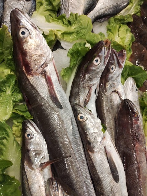 Pescheria e Friggitoria Azzurra O' Turrese - Consegna a domicilio - Pesce fresco tutti i giorni