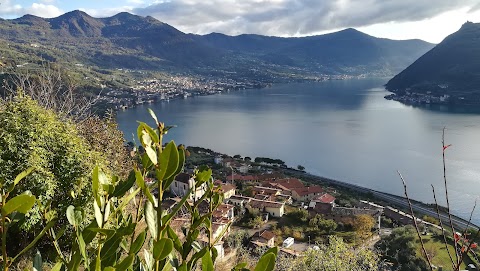 Az agricola Livio Camplani