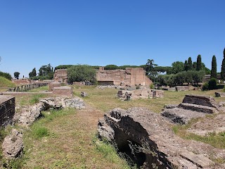 Stadio Palatino