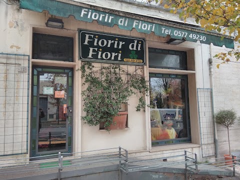 Fiorir Di Fiori Siena