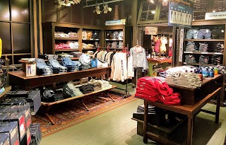 Hollister Co.