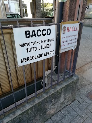 Bacco Di Trivellin Carlo E C. Snc