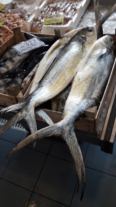 A.S. Pesca Import Export Di Sanfilippo Alfio & C.S.A.S.