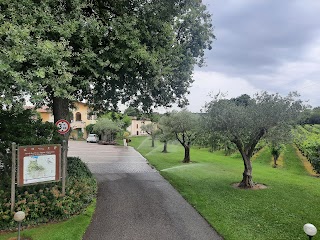 Azienda Agricola Ricchi - F.lli Stefanoni