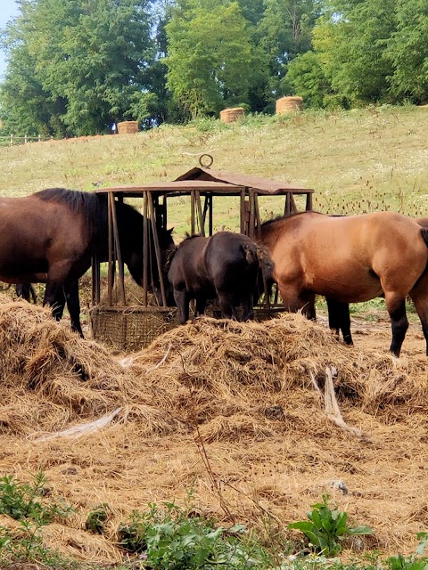 Agriturismo Le Carovane