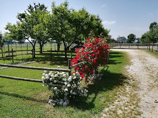 Loghino Paradiso