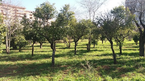 Parco "Fondo Badia"