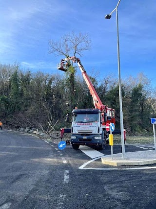 Autogru Valdarno Di Petricca Ubaldo