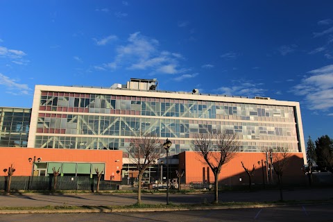 Istituto Superiore "Giovanni Falcone"