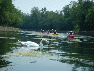 Kayak Team Turbigo