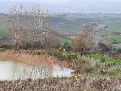 Maneggio RidingTuscany