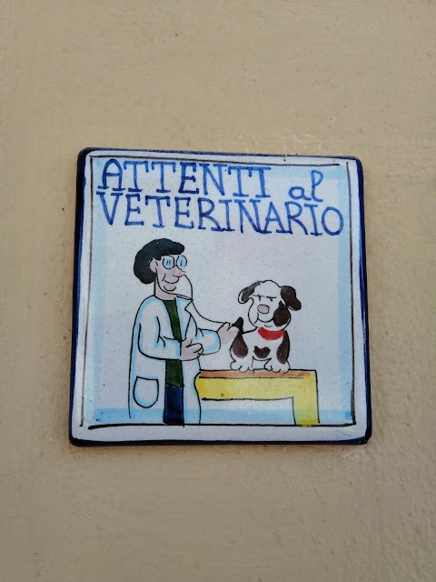 Studio Veterinario Associato Torresin Marangon