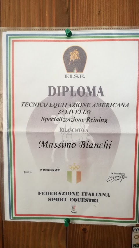 Scuola di Equitazione Western Bianchi Performance