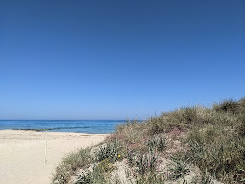 Parco Naturale Regionale Dune Costiere da Torre Canne a Torre San Leonardo