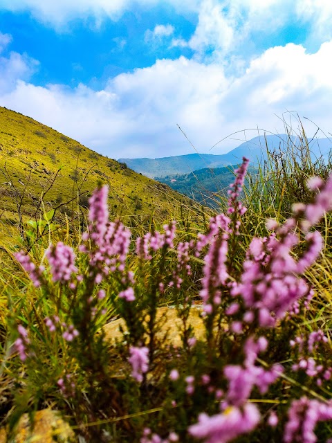 Passo della Dagliola