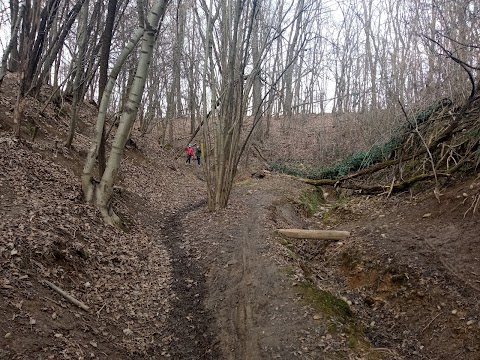 VOLPIANO VAUDA PARK del NEW-NORDIC-WALKING per la Camminata Attiva