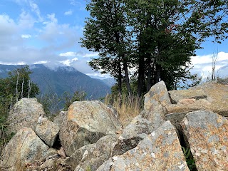 Monte Bernard