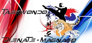 Centro TaeKwonDo Magnago