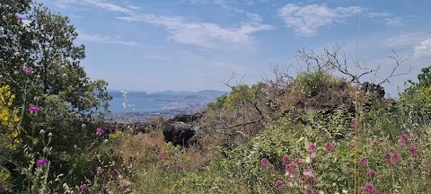 Associazione Vesuvio Natura da Esplorare