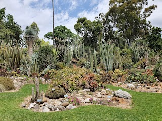 Orto Botanico di Napoli