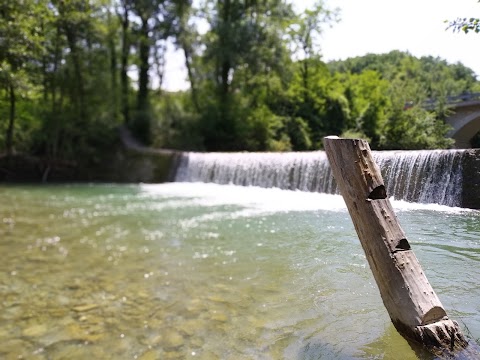 Area Pic Nic con griglie sul Savena