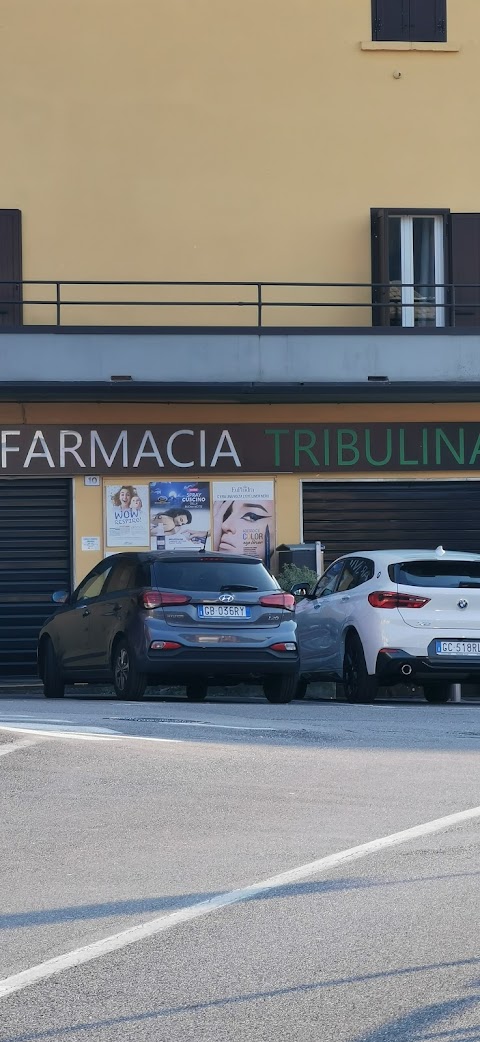 Farmacia Tribulina