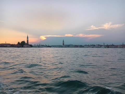 Vidal Venice Tours