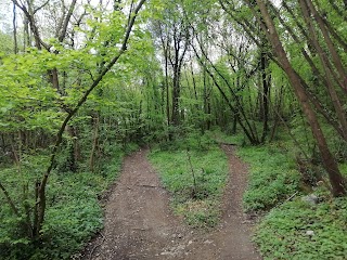 Bosco di San Vito - Monte Tifata