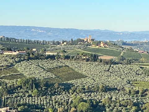 Mongolfiere Firenze - Balloon Team Italia