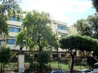 Liceo Scientifico Statale Filippo Silvestri