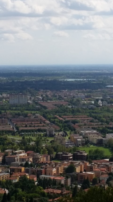 Erboristeria L'Albero della Vita Brescia