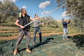 Azienda Agricola Sisilì