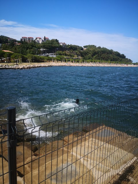 Spiaggia per cani