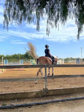 Centro Equestre Giovanni De Trizio - ASD