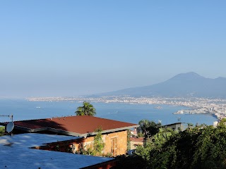 Museo Archeologico Stabiano - Reggia di Quisisana