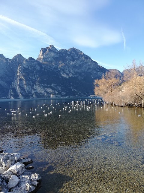 Alto Garda Appartamenti vacanza