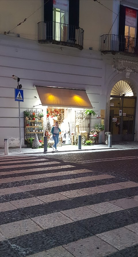 Boutique Dei Fiori Di Mondanaro Giuseppe E C. Sas