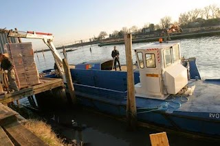 Trasporti Lagunari Bozzato